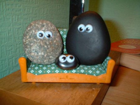 Pet Rock